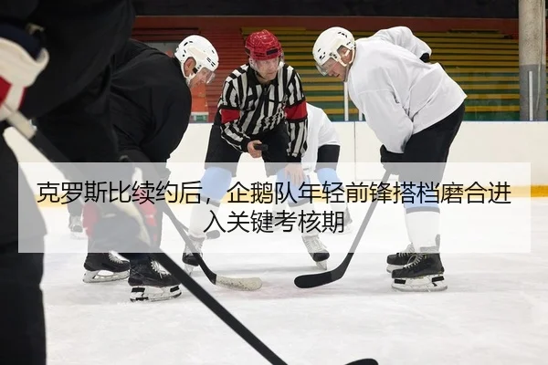 克罗斯比续约后，企鹅队年轻前锋搭档磨合进入关键考核期